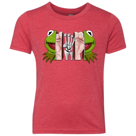 T-Shirts Vintage Red / YXS Inside the Frog Youth Triblend T-Shirt