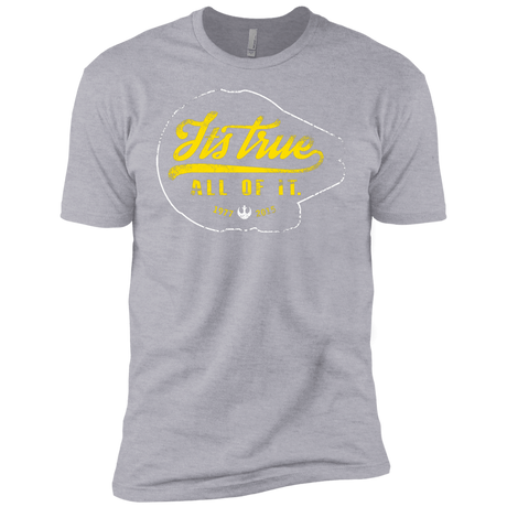 T-Shirts Heather Grey / YXS Its True Boys Premium T-Shirt