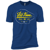 T-Shirts Royal / X-Small Its True Men's Premium T-Shirt