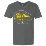 T-Shirts Heavy Metal / X-Small Its True Men's Premium V-Neck