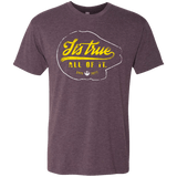 T-Shirts Vintage Purple / S Its True Men's Triblend T-Shirt