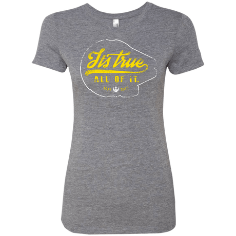 T-Shirts Premium Heather / S Its True Women's Triblend T-Shirt
