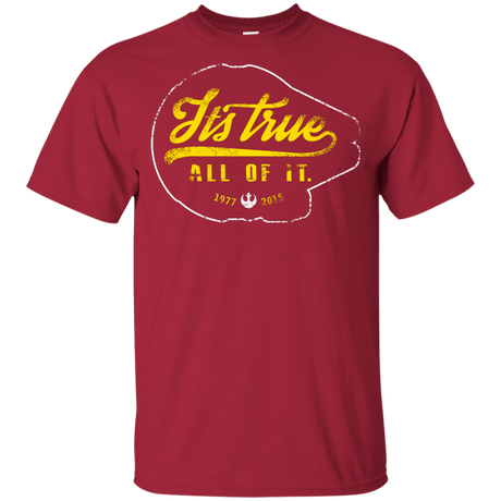 T-Shirts Cardinal / YXS Its True Youth T-Shirt