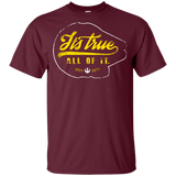 T-Shirts Maroon / YXS Its True Youth T-Shirt