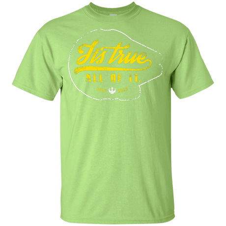 T-Shirts Mint Green / YXS Its True Youth T-Shirt