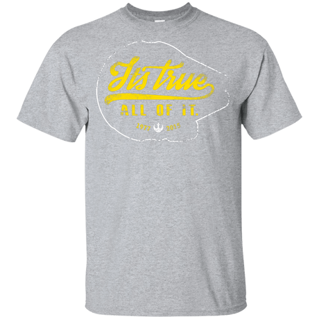 T-Shirts Sport Grey / YXS Its True Youth T-Shirt