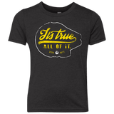 T-Shirts Vintage Black / YXS Its True Youth Triblend T-Shirt