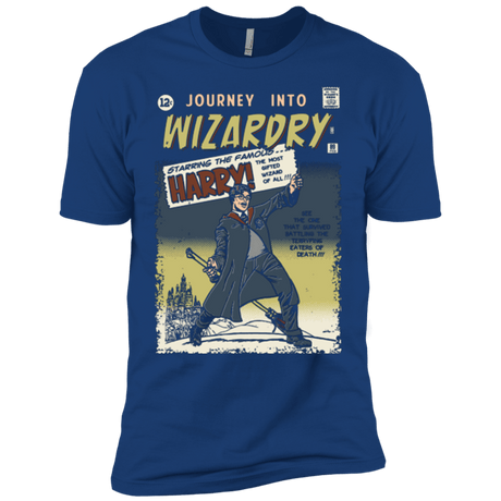 T-Shirts Royal / YXS Journey into Wizardry Boys Premium T-Shirt