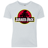 T-Shirts Heather White / YXS Jurasix-Pack Youth Triblend T-Shirt