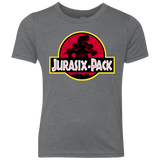 T-Shirts Premium Heather / YXS Jurasix-Pack Youth Triblend T-Shirt