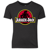 T-Shirts Vintage Black / YXS Jurasix-Pack Youth Triblend T-Shirt