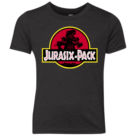 T-Shirts Vintage Black / YXS Jurasix-Pack Youth Triblend T-Shirt