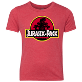 T-Shirts Vintage Red / YXS Jurasix-Pack Youth Triblend T-Shirt