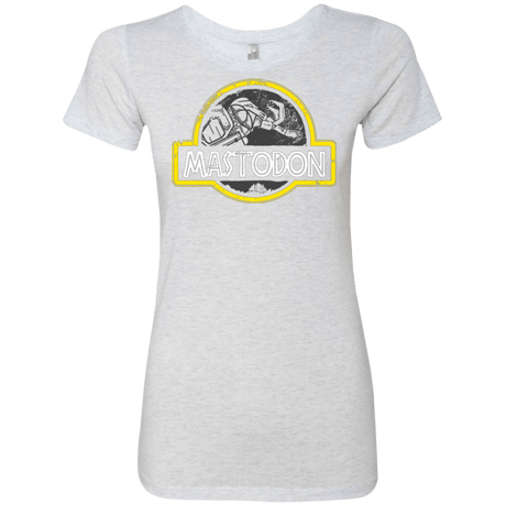 T-Shirts Heather White / Small Jurassic Power Black Women's Triblend T-Shirt