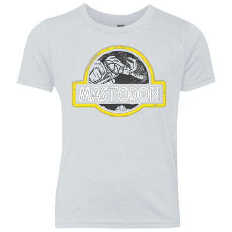 T-Shirts Heather White / YXS Jurassic Power Black Youth Triblend T-Shirt