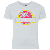 T-Shirts Heather White / YXS Jurassic Power Pink Youth Triblend T-Shirt