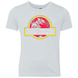 T-Shirts Heather White / YXS Jurassic Power Red Youth Triblend T-Shirt