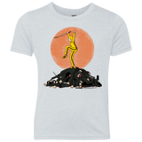 T-Shirts Heather White / YXS Karate Bill Youth Triblend T-Shirt
