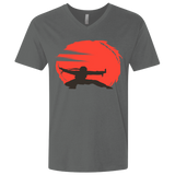 T-Shirts Heavy Metal / X-Small Karate Men's Premium V-Neck