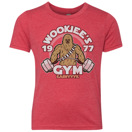T-Shirts Vintage Red / YXS Kashyyyk Gym Youth Triblend T-Shirt