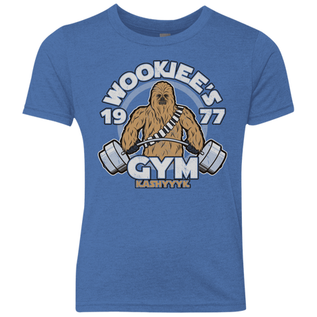 T-Shirts Vintage Royal / YXS Kashyyyk Gym Youth Triblend T-Shirt
