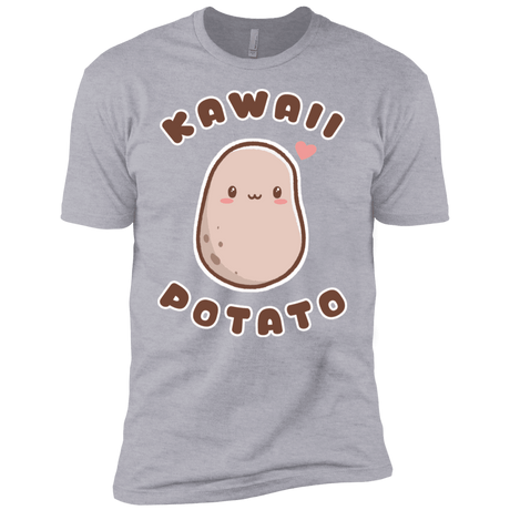 T-Shirts Heather Grey / YXS Kawaii Potato Boys Premium T-Shirt