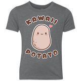 T-Shirts Premium Heather / YXS Kawaii Potato Youth Triblend T-Shirt