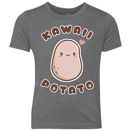 T-Shirts Premium Heather / YXS Kawaii Potato Youth Triblend T-Shirt