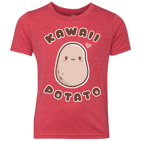T-Shirts Vintage Red / YXS Kawaii Potato Youth Triblend T-Shirt