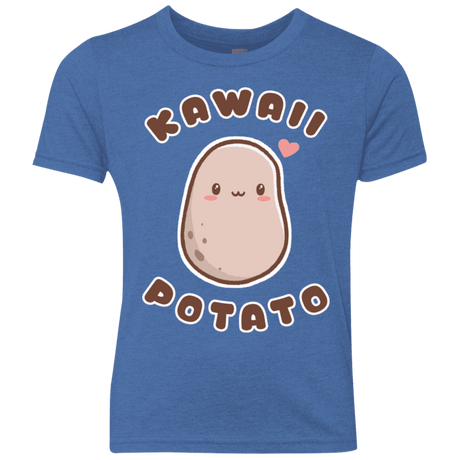 T-Shirts Vintage Royal / YXS Kawaii Potato Youth Triblend T-Shirt
