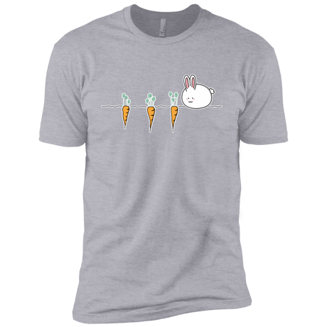 T-Shirts Heather Grey / YXS Kawaii Rabbit and Carrots Boys Premium T-Shirt