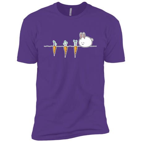 T-Shirts Purple Rush / YXS Kawaii Rabbit and Carrots Boys Premium T-Shirt