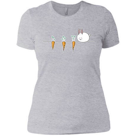 T-Shirts Heather Grey / X-Small Kawaii Rabbit and Carrots Women's Premium T-Shirt