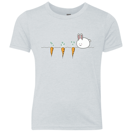 T-Shirts Heather White / YXS Kawaii Rabbit and Carrots Youth Triblend T-Shirt