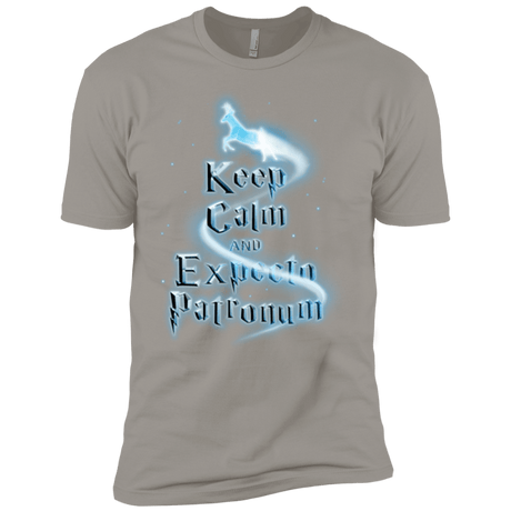 T-Shirts Light Grey / YXS Keep Calm and Expecto Patronum Boys Premium T-Shirt