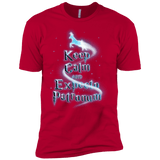 T-Shirts Red / YXS Keep Calm and Expecto Patronum Boys Premium T-Shirt