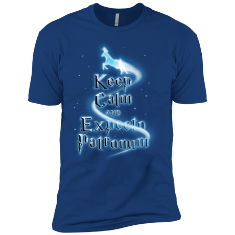 T-Shirts Royal / YXS Keep Calm and Expecto Patronum Boys Premium T-Shirt