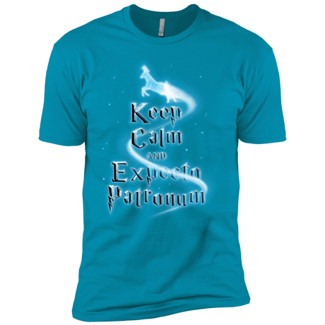 T-Shirts Turquoise / YXS Keep Calm and Expecto Patronum Boys Premium T-Shirt