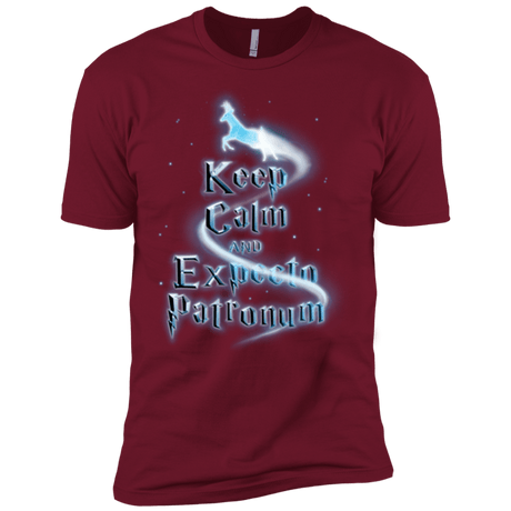 T-Shirts Cardinal / X-Small Keep Calm and Expecto Patronum Men's Premium T-Shirt