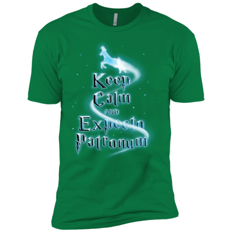 T-Shirts Kelly Green / X-Small Keep Calm and Expecto Patronum Men's Premium T-Shirt