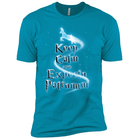 T-Shirts Turquoise / X-Small Keep Calm and Expecto Patronum Men's Premium T-Shirt