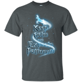 T-Shirts Dark Heather / Small Keep Calm and Expecto Patronum T-Shirt