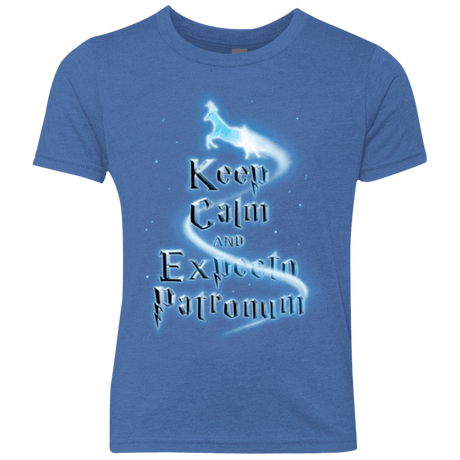 T-Shirts Vintage Royal / YXS Keep Calm and Expecto Patronum Youth Triblend T-Shirt