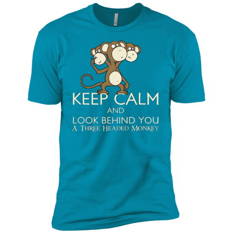 T-Shirts Turquoise / YXS Keep Calm & Look Behind You A Three Headed Monkey Boys Premium T-Shirt