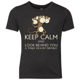 Keep Calm & Look Behind You A Three Headed Monkey Youth Triblend T-Shirt