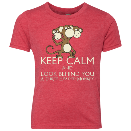 T-Shirts Vintage Red / YXS Keep Calm & Look Behind You A Three Headed Monkey Youth Triblend T-Shirt