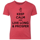T-Shirts Vintage Red / YXS Keep calm prosper Youth Triblend T-Shirt