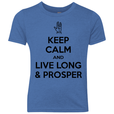 T-Shirts Vintage Royal / YXS Keep calm prosper Youth Triblend T-Shirt