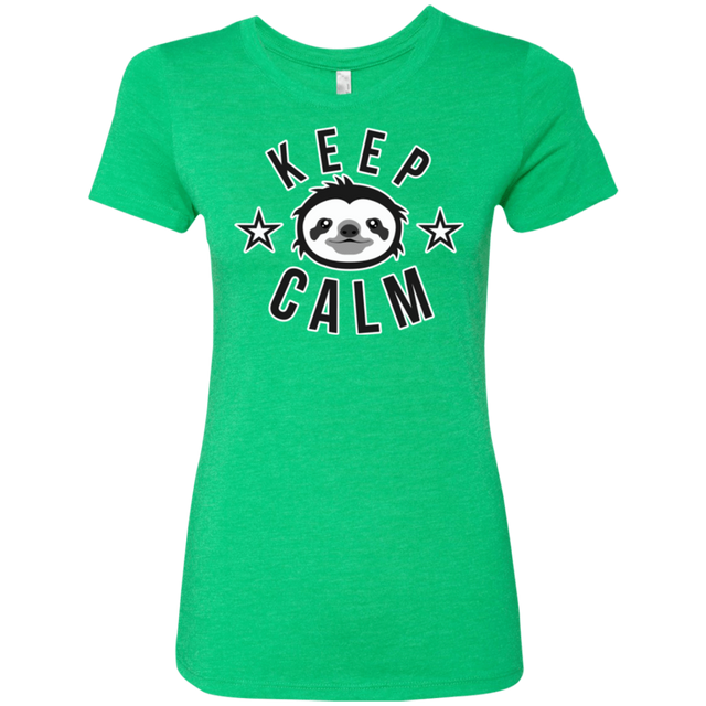 T-Shirts Envy / Small Keep Calm Women's Triblend T-Shirt