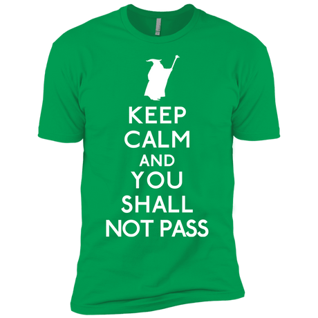 T-Shirts Kelly Green / YXS Keep Calm You Shall Not Pass Boys Premium T-Shirt